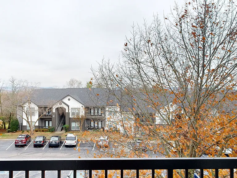 Carrington Hills — Photo 80