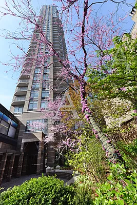 Sold by Peter Ashe | media 36