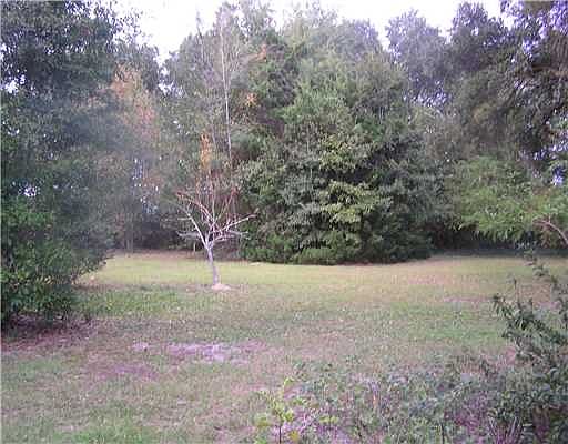 3rd image of 105 Twin Cedar Dr