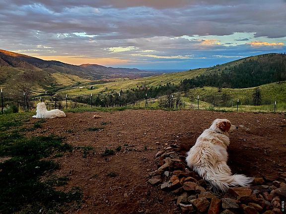 3rd image of 957 Stringtown Gulch Rd