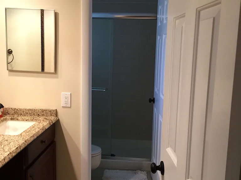 master bathroom shower
