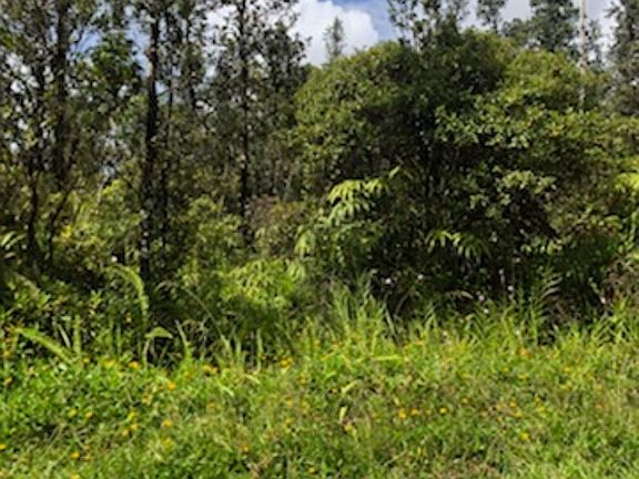 5th image of Bamboo Dr Lot 42