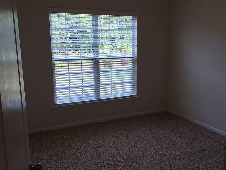 391 Hawks Creek Pkwy — Photo 52