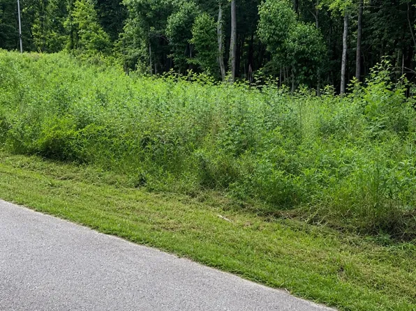 0 Chandler Rd, Woodlawn, TN 37191