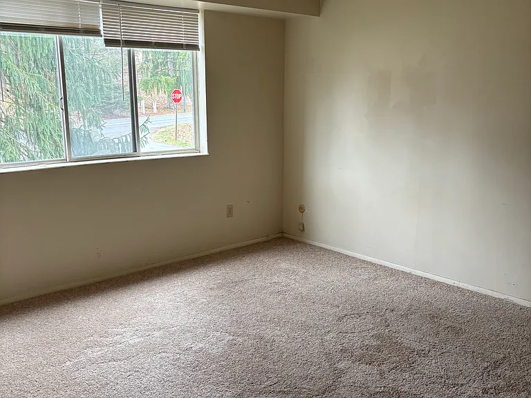 27619 Evergreen Run — Photo 6