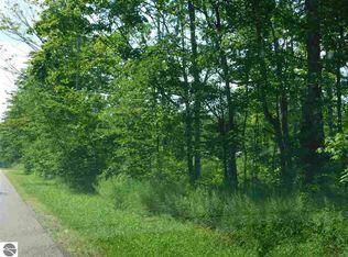 Twin Lake Rd, Mancelona, MI 49659