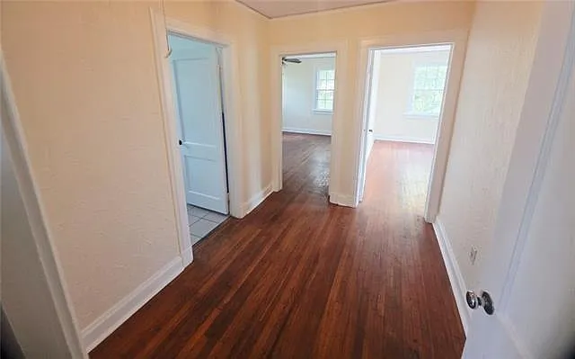 1517 Dante St — Photo 12