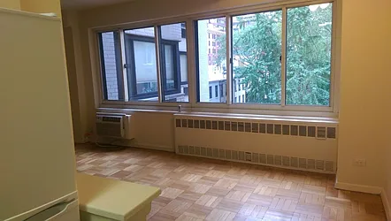 Rented by Manhattan Apartment Organization