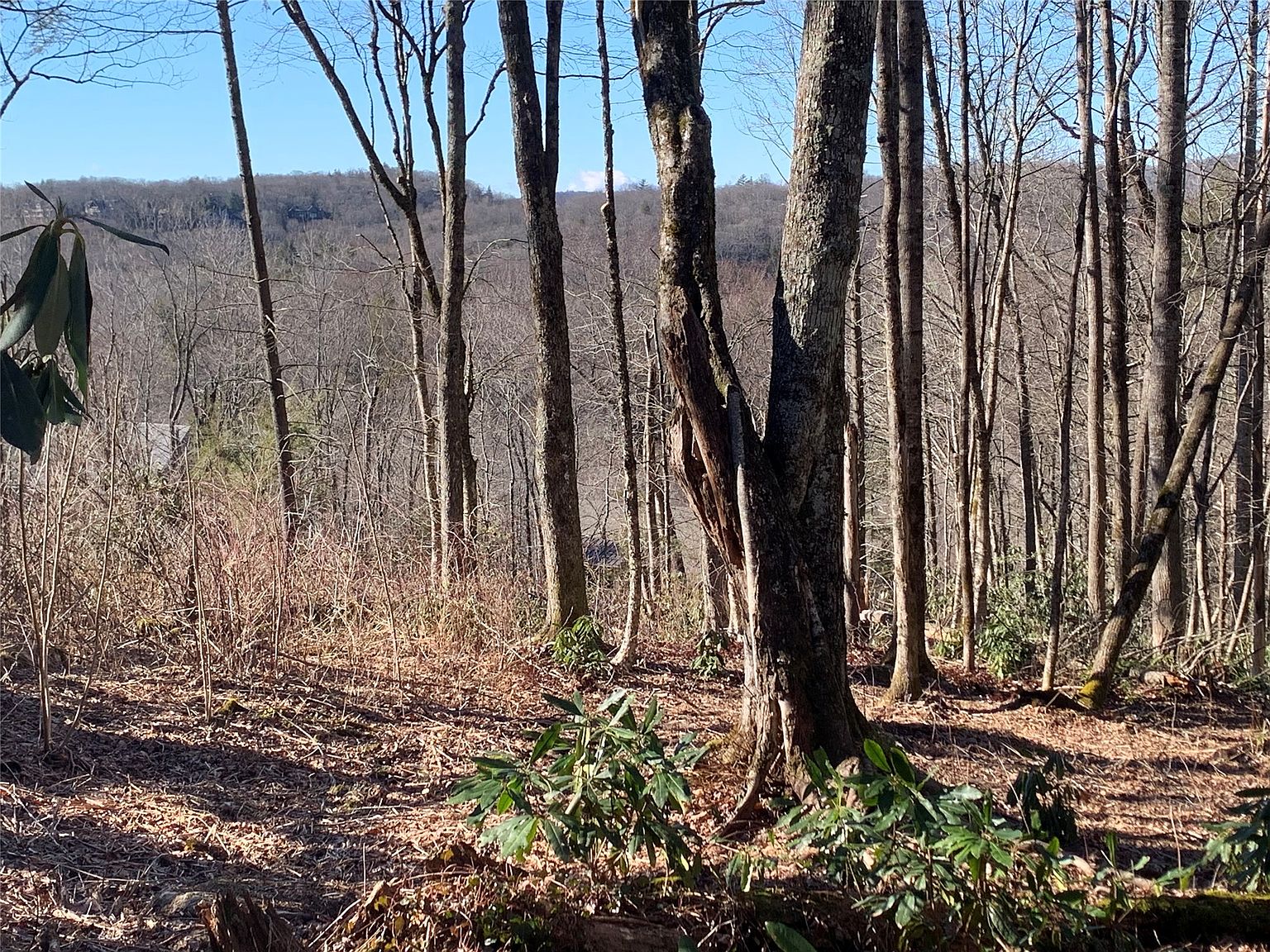 95 Oak Point