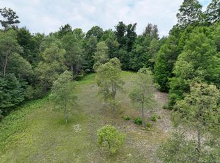 0 Leonard Rd, Mancelona, MI 49659