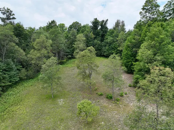 0 Leonard Rd, Mancelona, MI 49659