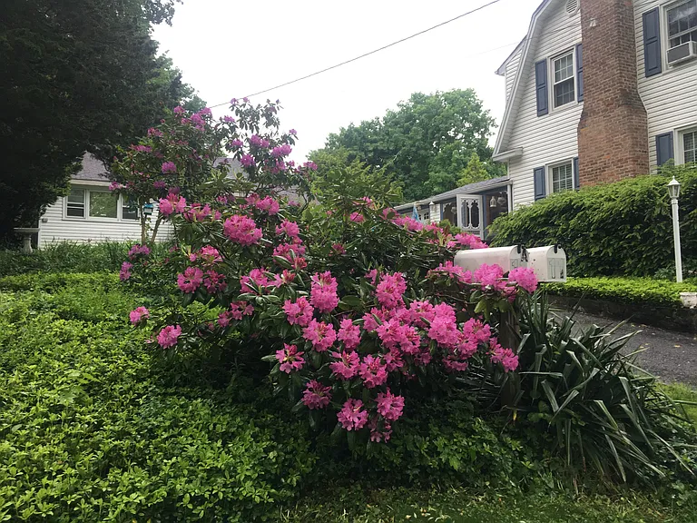 11 Shady Brook Ln #A — Photo 3