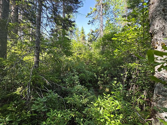 3rd image of Map 1 Lot 10-2 Patten Rd