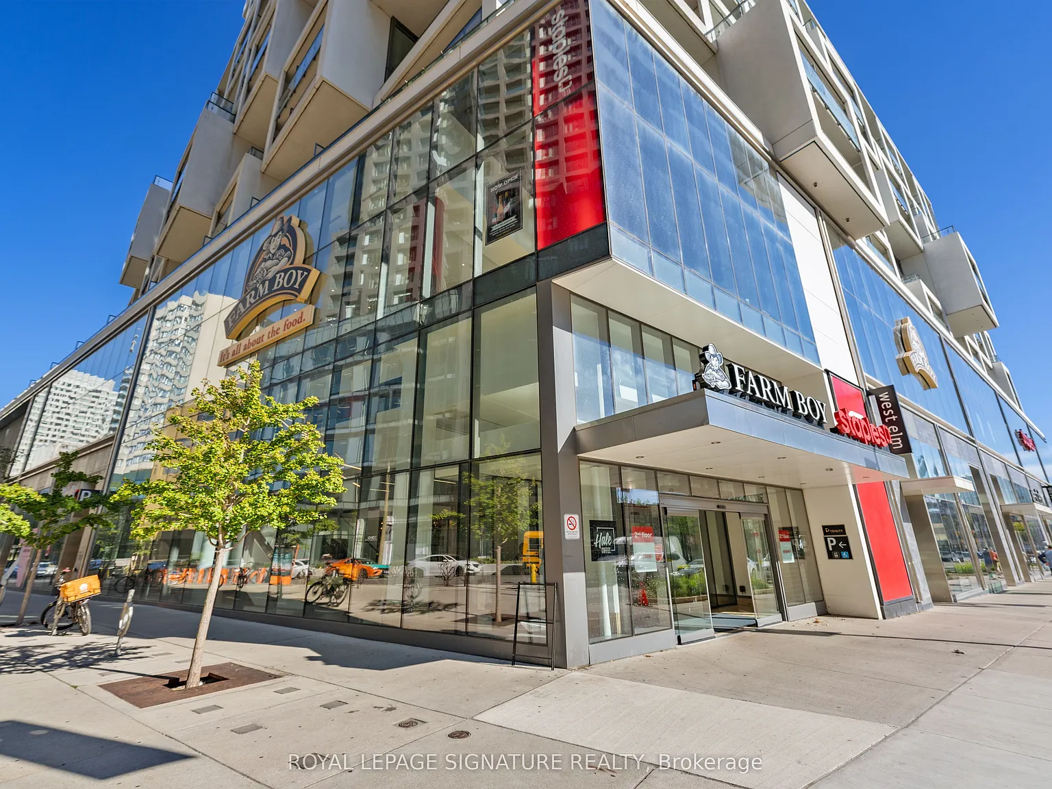 5 Soudan Ave — Photo 3
