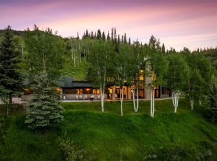 31655 Sugar Ridge Rd, Steamboat Springs, CO 80487