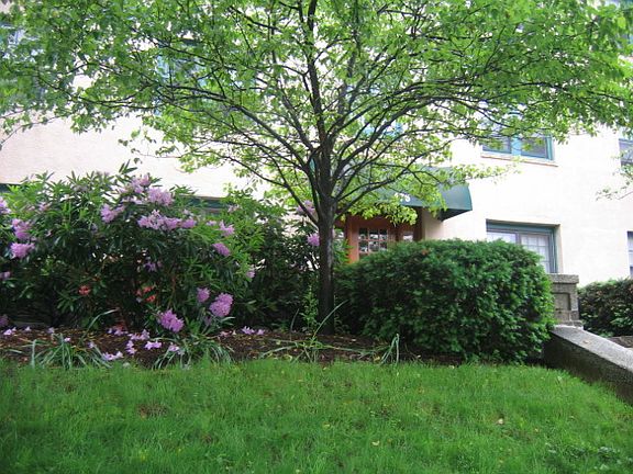 5th image of 174 Winthrop Rd