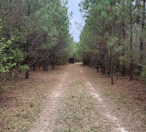 5th image of 001 RACE PATH