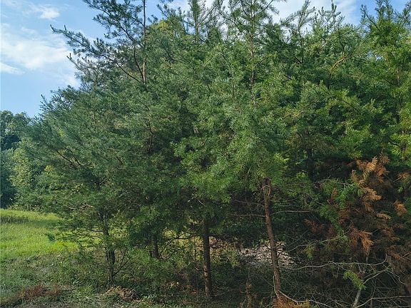 2nd image of Tract 4 Crooked Lane NW
