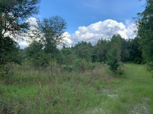 0 184th St #Par-2, Wellborn, FL 32094