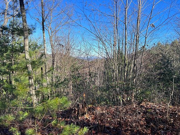 2nd image of 5072 Long Rifle Rd Lot 79W