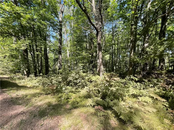 XXX Sand Road, Shell Lake, WI 54871