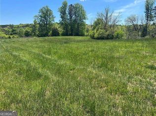 1128 Long Rd, Ball Ground, GA 30107