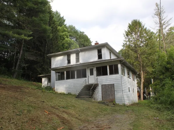 54 Greenbrier St, Camden On Gauley, WV 26208