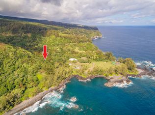 36-1070 Laupahoehoe Point Road, Laupahoehoe, HI 96764