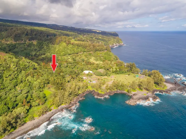 36-1070 Laupahoehoe Point Road, Laupahoehoe, HI 96764