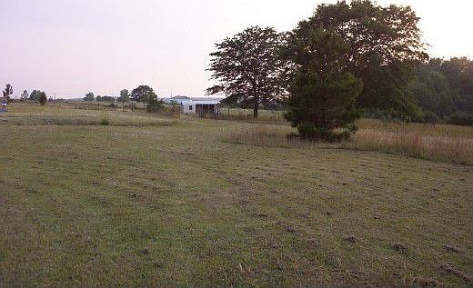 Horse stall 