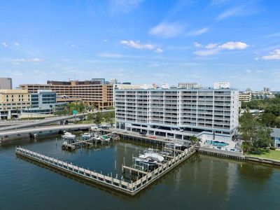 2 Adalia Ave APT 401, Tampa, FL, 33606