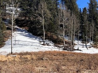506 Arrowhead Rd #1152, Florissant, CO 80816