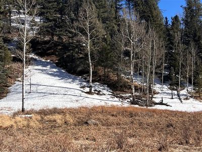 506 Arrowhead Road LOT 1152, Florissant, CO, 80816