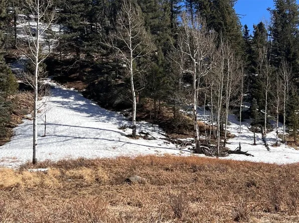 506 Arrowhead Road LOT 1152, Florissant, CO 80816