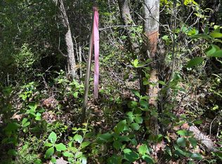 0 Rincon Stillwell Rd, Springfield, GA 31329