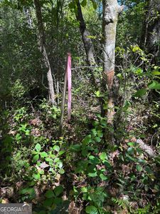 0 Rincon Stillwell Rd, Springfield, GA, 31329
