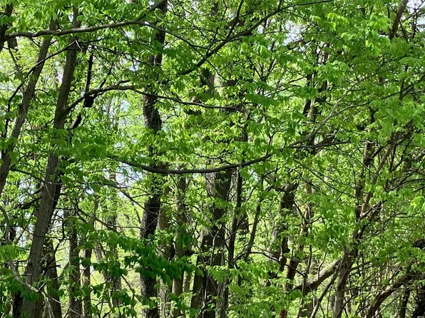 1100 Malachi Road Ave, Hillsboro, IL 62049