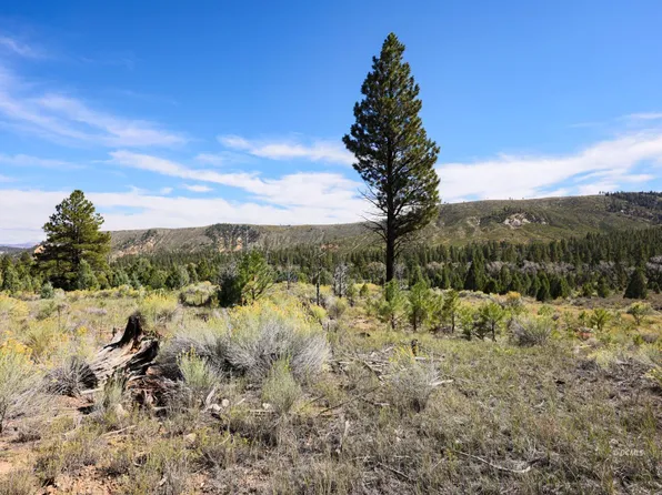 W Doe Rd, Mammoth Creek, UT 84735