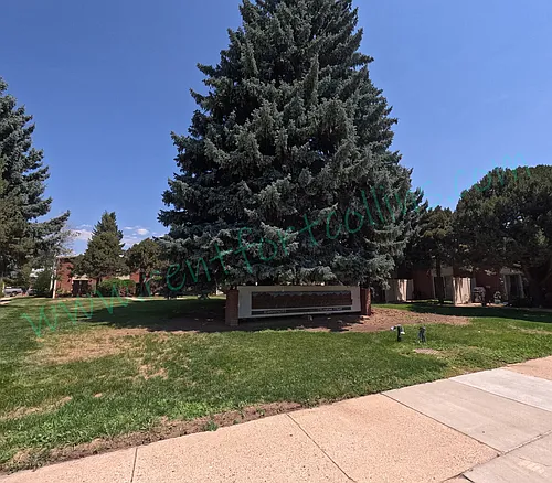 1112 Columbine Ct #1 Photo 1