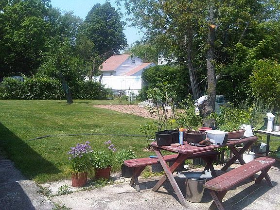 Corner of Backyard (there's more to see)