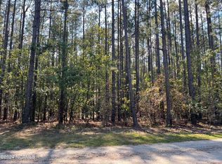 159 Tranquil Ln, Hamlet, NC 28345