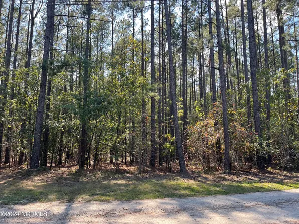 159 Tranquil Lane, Hamlet, NC 28345