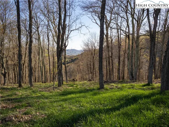 4 Great Sky Drive, Banner Elk, NC 28604