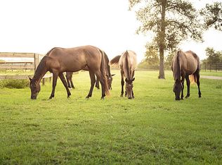 20408 Di Iorio Rd, Hempstead, TX 77445