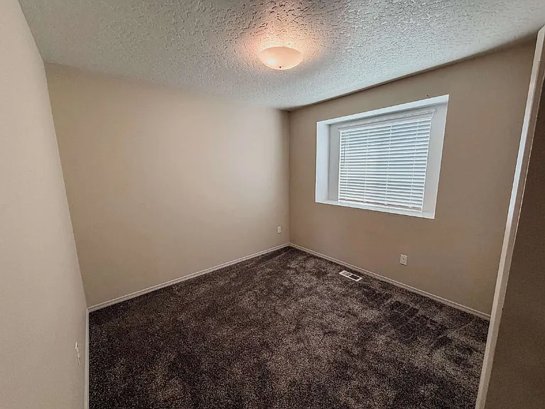 505 Lost Basin Ct — Photo 15