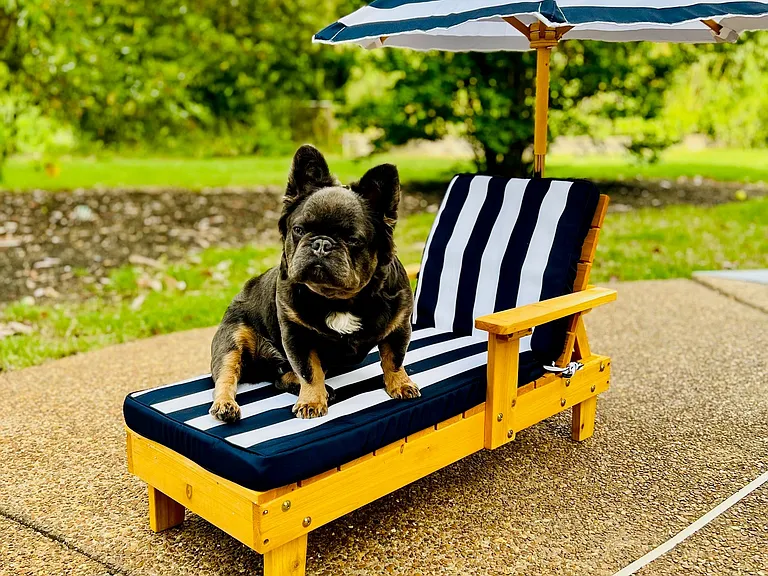 Pet friendly!