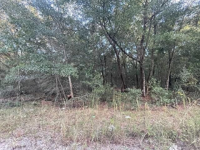 1st image of NW 56th Ave Lot 10