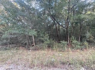 NW 56th Ave LOT 10, Ocala, FL 34482