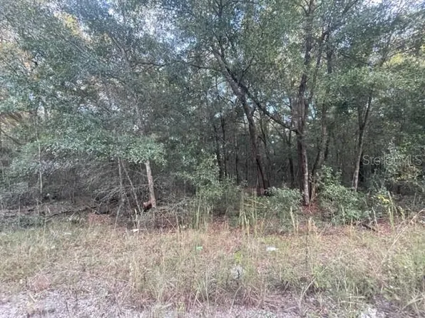 NW 56th Ave Lot 10, Ocala, FL 34482