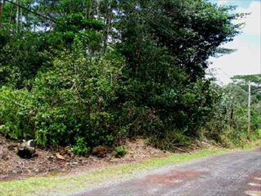 2nd image of 19th Ave Lot 143